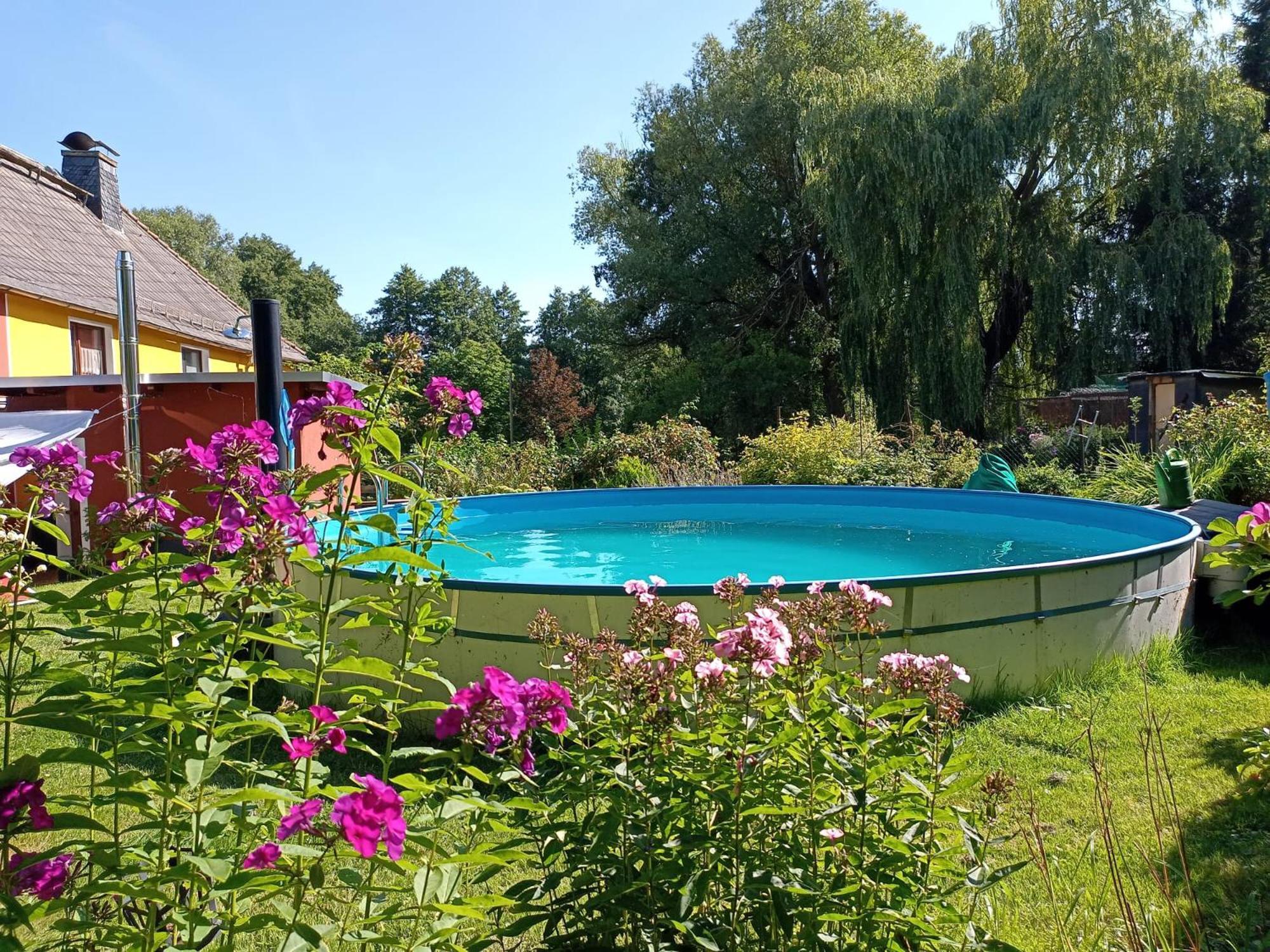 Ferienhof Im Gruenen Herzen Dittersdorf Exterior foto